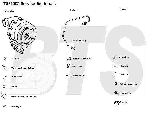 BTS TURBO kompresorius, įkrovimo sistema T981503